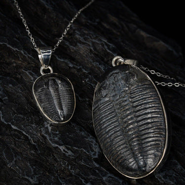 Small and large trilobite pendant by Black Feather Design
